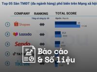 Reputa: Bản tin ngành thương mại điện tử tháng 5/2024