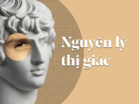9 nguyên lý thị giác cơ bản và cách ứng dụng