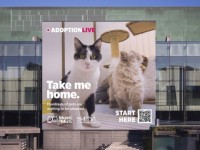 Musti Group mở buổi livestream trên DOOH để các “Boss” tìm “Sen” mới cho mình