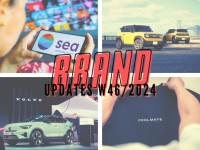Brand Updates W46/2024: Công ty mẹ Shopee đạt doanh thu kỷ lục, VinFast tiếp tục là hãng xe bán chạy nhất Việt Nam