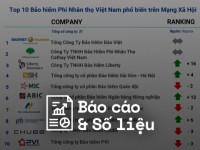 Reputa: Bản tin ngành bảo hiểm tháng 8/2024