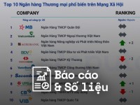 Reputa: Bản tin ngành Ngân hàng tháng 11/2024