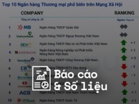 Reputa: Bản tin ngành ngân hàng tháng 8/2024