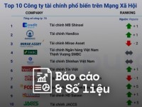 Reputa: Bản tin ngành Tài chính tháng 11/2024