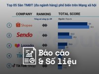 Reputa: Bản tin ngành Thương mại Điện tử tháng 11/2024
