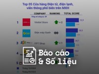 Reputa: Bản tin ngành Bán lẻ tháng 11/2024