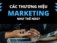 Tổng hợp những chiến dịch Marketing thành công của các thương hiệu trên toàn cầu
