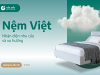 Cốc Cốc: Nắm bắt xu hướng tiêu dùng trong thị trường nệm Việt Nam
