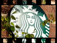 Starbucks thành lập studio in-house với tham vọng “tự lực” để bền vững