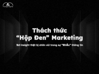 Thách thức “hộp đen” Marketing: Nơi Insight thật bị chôn vùi trong sự “nhiễu” thông tin