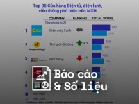 Reputa: Bảng xếp hạng ngành Bán lẻ năm 2024