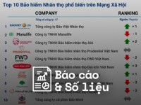 Reputa: Bảng xếp hạng ngành Bảo hiểm năm 2024