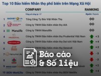 Reputa: Bản tin ngành Bảo hiểm tháng 5/2025