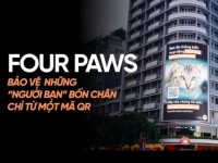 FOUR PAWS Việt Nam: Rút ngắn khoảng cách bảo vệ chó mèo chỉ từ một mã QR