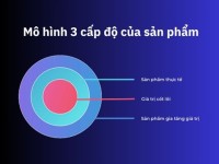 Giải mã mô hình 3 cấp độ của sản phẩm trong thương mại điện tử
