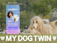 Cheil WorldWide ra mắt chiến dịch My Dog Twin: “Ghép đôi” bằng AI để tìm cặp đôi sen-boss hoàn hảo