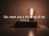 Sức mạnh của ý chí và sự nỗ lực (Phần 1)