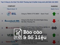 Reputa: Bản tin ngành Tài chính tháng 6/2025