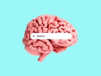 Tìm kiếm bằng AI đang dần thay thế Google Search?