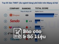 Reputa: Bảng xếp hạng ngành Thương mại Điện tử năm 2024