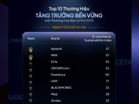 Top 10 thương hiệu Mẹ và Bé trên e-Commerce: Tăng trưởng bùng nổ nhờ chuỗi bán lẻ lên sàn