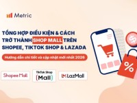 Tổng hợp điều kiện và cách trở thành Shop Mall trên Shopee, TikTok Shop, Lazada từ A-Z