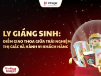 Ly Giáng sinh: Điểm giao thoa giữa trải nghiệm thị giác và hành vi khách hàng, theo góc nhìn dữ liệu của i-Panel