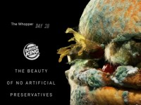 “Moldy Whopper”: Khi sự xuống cấp của sản phẩm trở thành bằng chứng cho giá trị thương hiệu