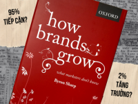 95% tiếp cận, 2% tăng trưởng? Dữ liệu từ Oxford phản bác “kinh thánh” marketing
