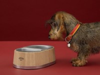Pet Economy: Tại sao Hermès bán bát ăn 1.100 USD dành cho thú cưng?