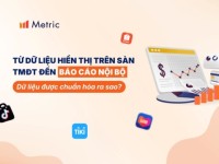 Từ dữ liệu hiển thị trên sàn TMĐT đến báo cáo nội bộ: Dữ liệu được chuẩn hóa ra sao?