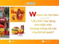 Wallace tại Việt Nam: “Liều lĩnh” hay đang nhìn thấy một khoảng trống mà các ông lớn bỏ quên?