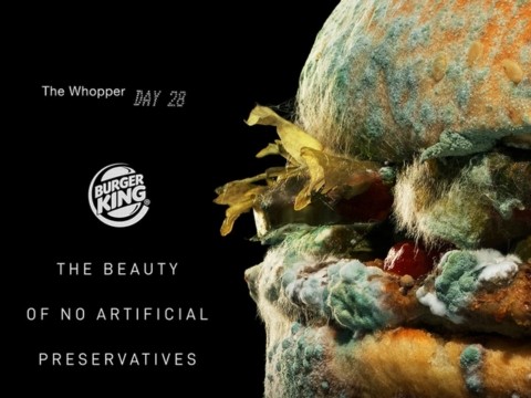 “Moldy Whopper”: Khi sự xuống cấp của sản phẩm trở thành bằng chứng cho giá trị thương hiệu