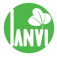 Marketer Lan Vi Paper