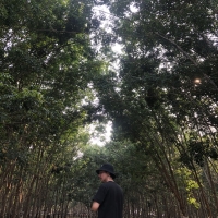 Marketer Hoàng Nhật Quang