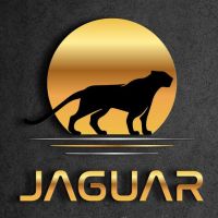 Marketer Jaguar Agency
