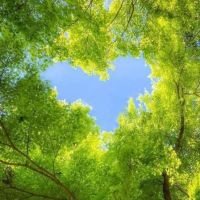 Marketer Love The Nature